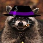 Profile photo of miroslav